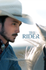 The Rider (2017) - Chloé Zhao
