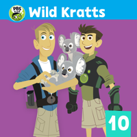 Wild Kratts - Tenrec Treasure Hunt artwork