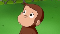 ‎Curious George, Season 6 on iTunes