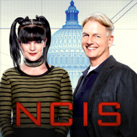 NCIS - NCIS, Staffel 14 artwork
