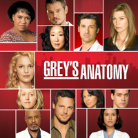 Grey's Anatomy - Grey's Anatomy, Season 4 artwork