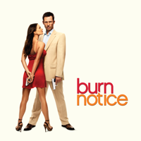 Burn Notice - False Flag artwork