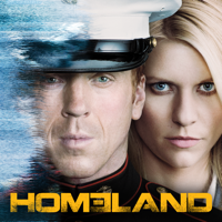 Homeland - Homeland, Staffel 1 artwork