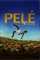 Pelé: Birth Of A Legend - Jeffrey Zimbalist & Michael Zimbalist lyrics