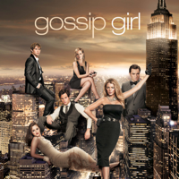 Gossip Girl - Gossip Girl, die komplette Serie artwork