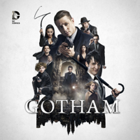 Gotham - Gotham, Staffel 2 artwork