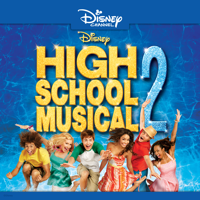 High School Musical 2 - High School Musical 2 artwork