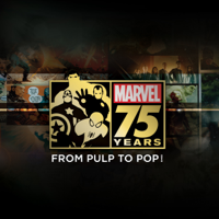 Marvel: 75 Years from Pulp to Pop! - Marvel: 75 Years from Pulp to Pop! artwork
