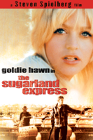 Steven Spielberg - The Sugarland Express artwork