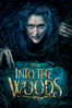 Into the Woods - Rob Marshall