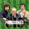 In the Public Interest - The Professionals