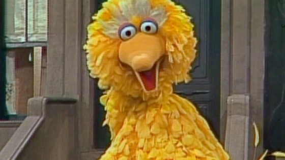 ‎i Am Big Bird On Itunes