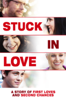 Josh Boone - Stuck In Love artwork