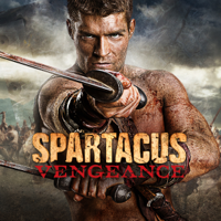 Spartacus - Einen Platz in der Welt artwork