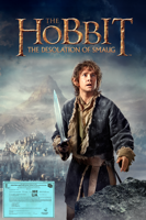 Peter Jackson - The Hobbit: The Desolation of Smaug artwork