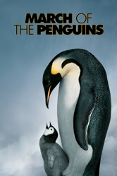 March of the Penguins - Luc Jacquet Cover Art