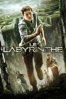 Le Labyrinthe - Wes Ball