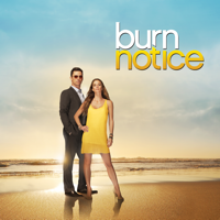 Burn Notice - Burn Notice, Season 5 artwork