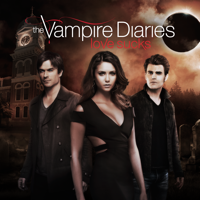 Vampire Diaries - 27 Waagerecht artwork