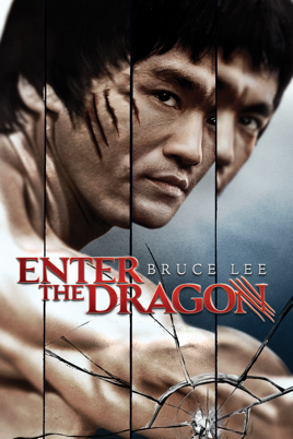 enter the dragon climax fight