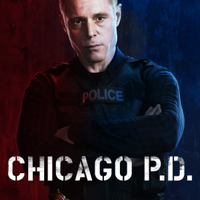 Chicago PD - Chicago PD, Staffel 1 artwork