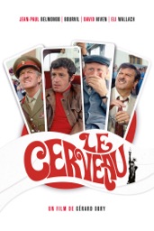 Le cerveau