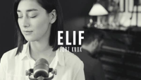 Elif - Fort Knox (Akustik Session) artwork