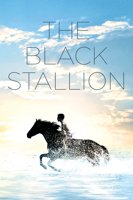 Carroll Ballard - The Black Stallion artwork