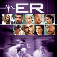 ER - ER, Season 5 artwork