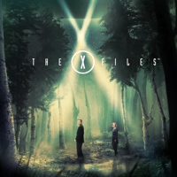 The X-Files - The X-Files, Season 5 artwork