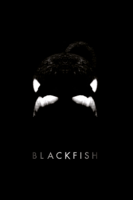 Gabriela Cowperthwaite - Blackfish artwork