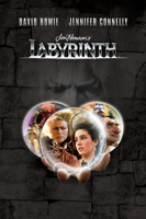 Unknown - Labyrinth artwork