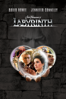 Labyrinth - Unknown