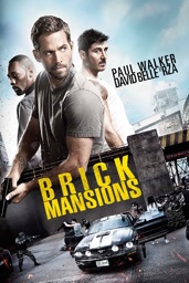 Brick Mansions