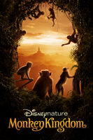 Mark Linfield - Disneynature Monkey Kingdom artwork