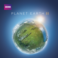 Planet Earth - Planet Earth II artwork