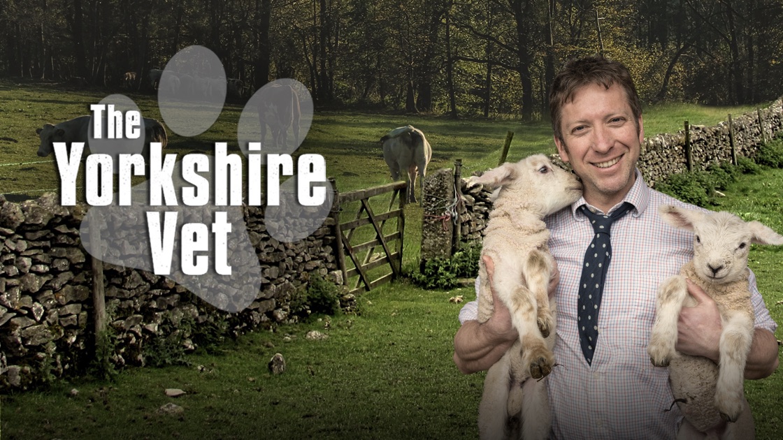 The Yorkshire Vet On Apple TV   1200x630 