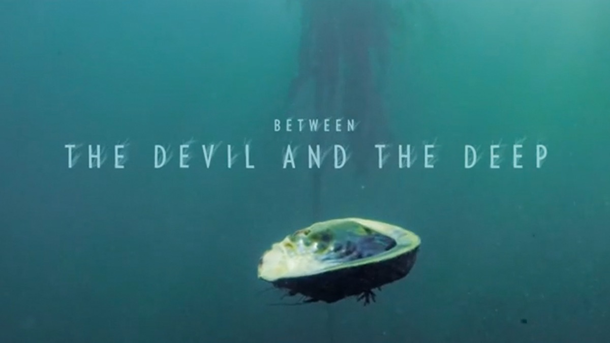 Between the Devil and the Deep | Apple TV