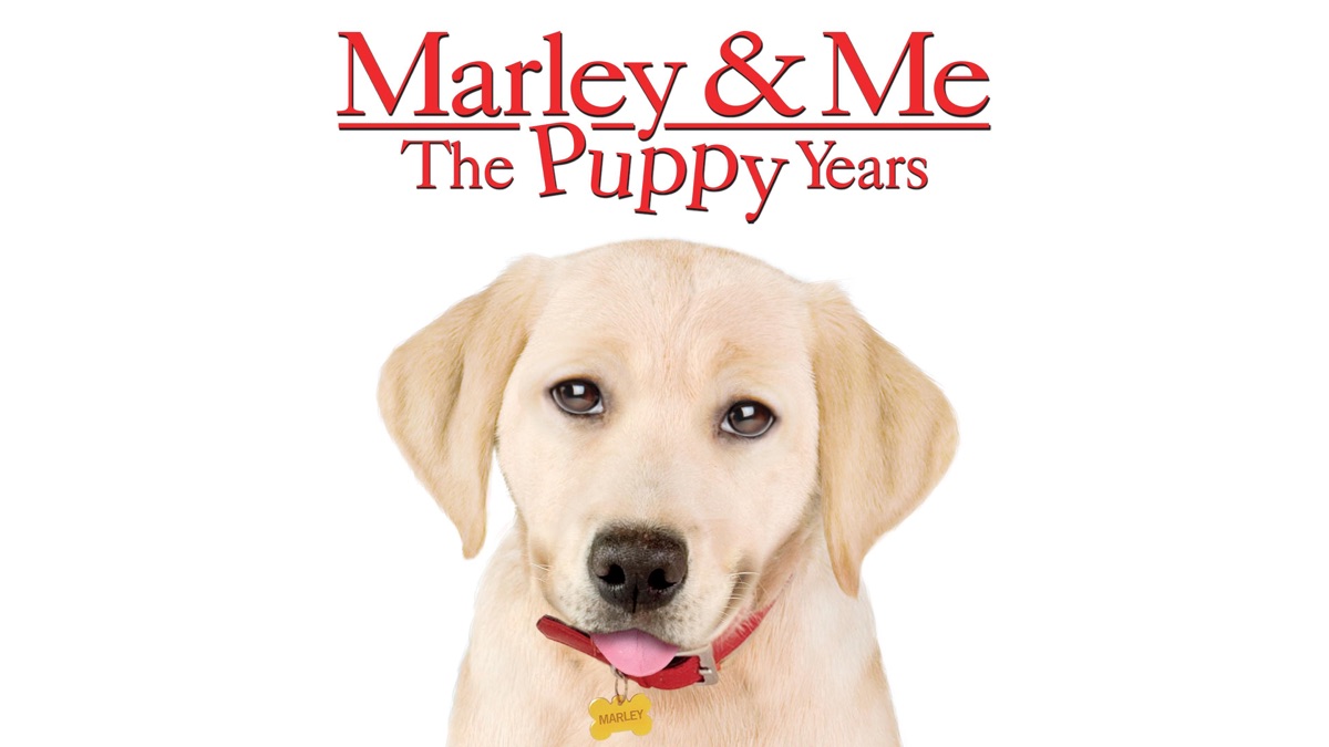 Marley & Me: The Puppy Years | Apple TV