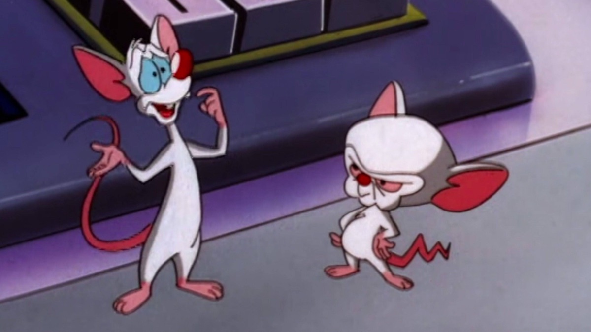 The Pinky And The Brain Reunion Special Pinky And The Brain Season 4   1200x675 