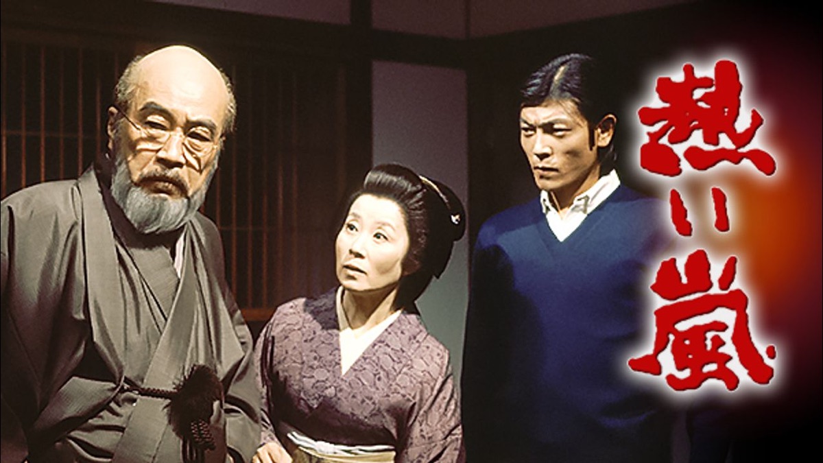 熱い嵐 Apple Tv 日本