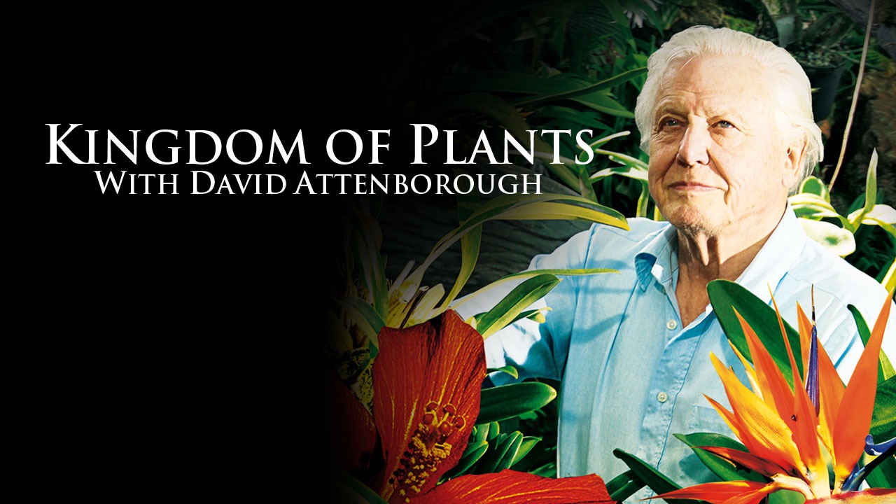 Kingdom of Plants With David Attenborough | Apple TV